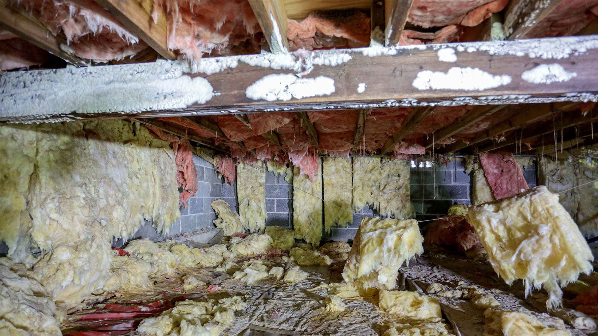 wet nasty crawl space with soaked insulation
